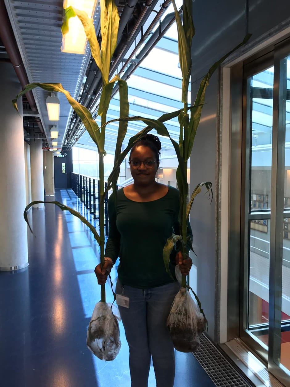 Dominique Narain-Ford met haar plantenmonsters